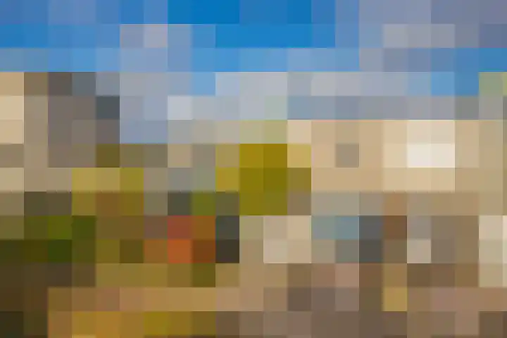 Jonagold 42 Elst thumbnail 4