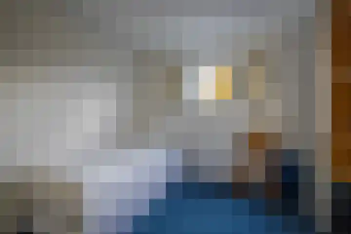 Jonagold 42 Elst thumbnail 47