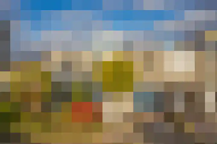 Jonagold 42 Elst thumbnail 50