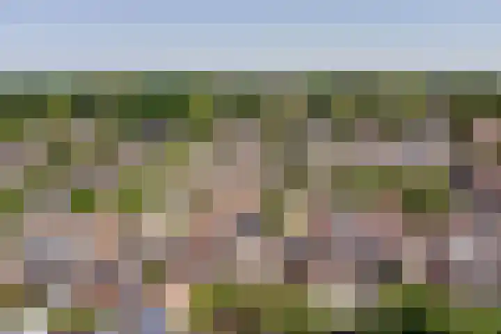 Jonagoldstraat 4 Kapelle thumbnail 4