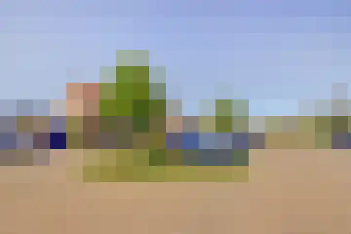 Jonagoldstraat 4 Kapelle thumbnail 42