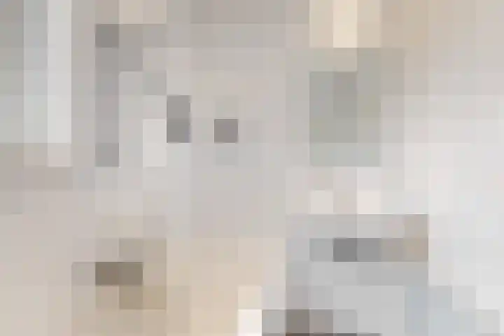 Jonasstraat 5 Geleen thumbnail 30