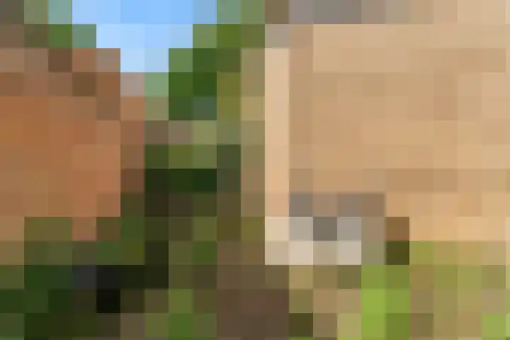 Jonasstraat 5 Geleen thumbnail 33