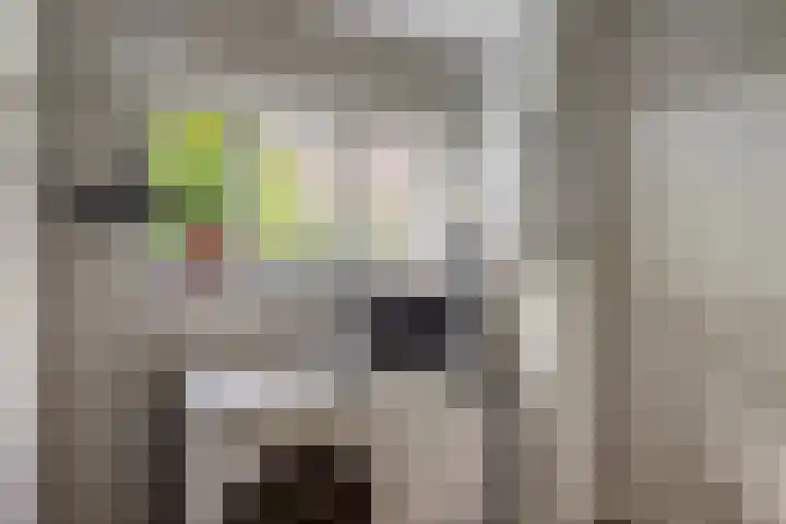 Jonasweg 8 Vaassen thumbnail 17