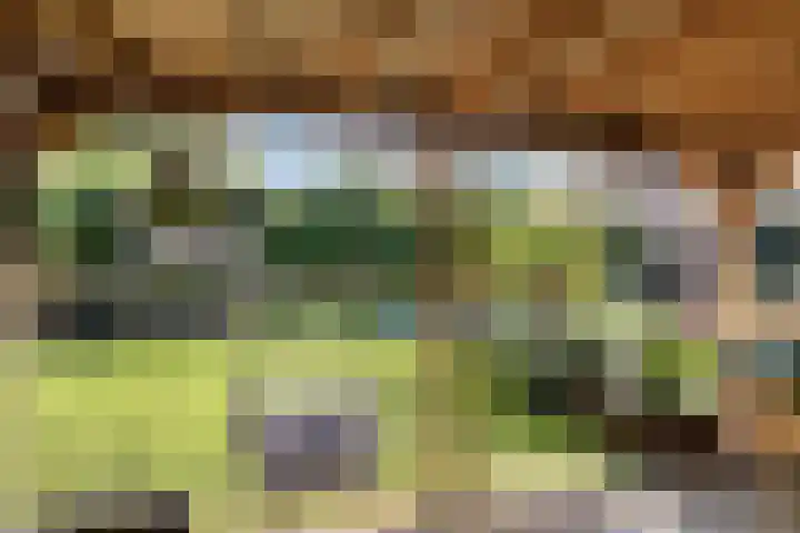 Jonasweg 8 Vaassen thumbnail 34