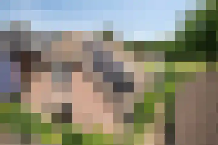 Jonasweg 8 Vaassen thumbnail 44