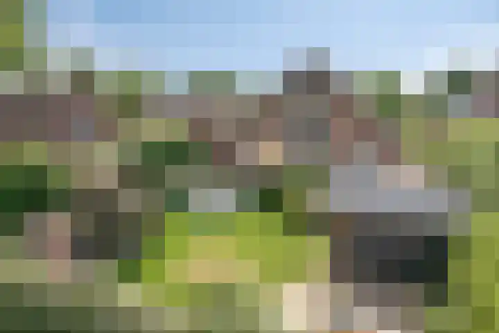 Jonasweg 8 Vaassen thumbnail 52
