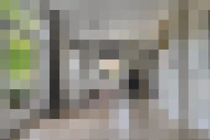 Jonasweg 8 Vaassen thumbnail 9