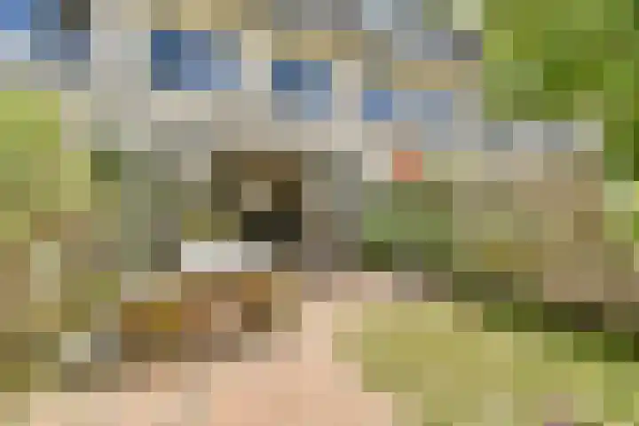 Jonathanhof 12 Amsterdam