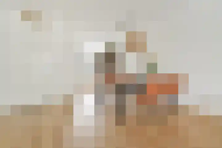 Jonathanhof 12 Amsterdam thumbnail 13
