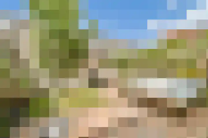 Jonathanhof 12 Amsterdam thumbnail 9