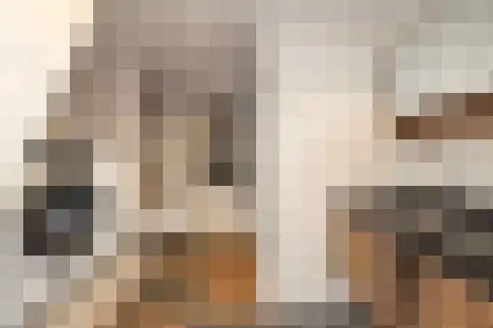 Jonathanlaan 30 Blokker thumbnail 31