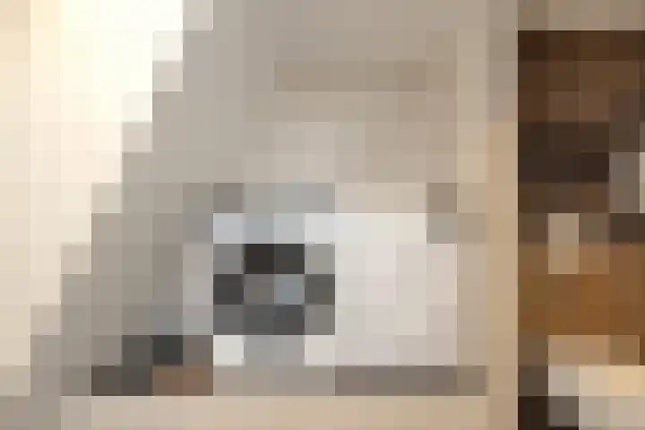 Jonathanlaan 30 Blokker thumbnail 32