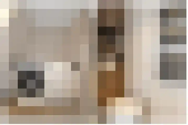 Jonathanlaan 30 Blokker thumbnail 36