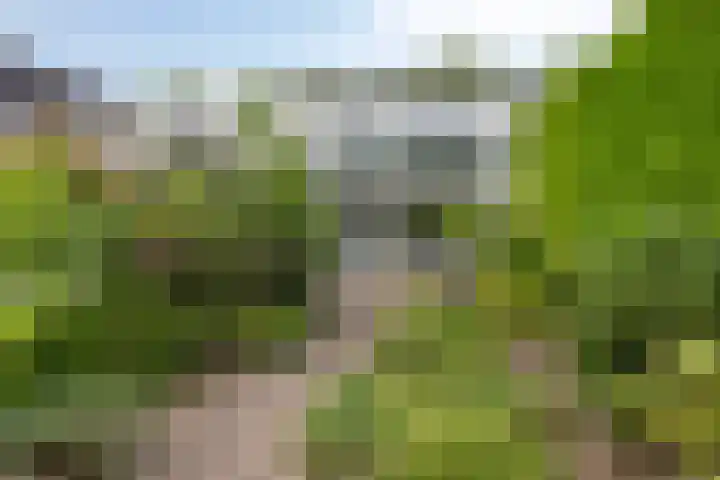 Jongbloedlaan 17 Soesterberg thumbnail 27