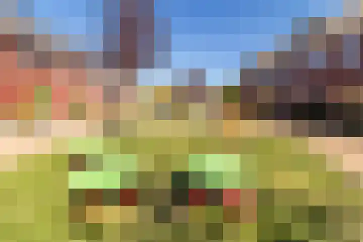Jonge Wolfstraat 40 Wormer thumbnail 34