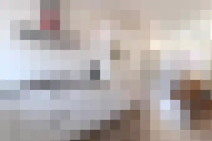 Jonge Wolfstraat 40 Wormer thumbnail 9