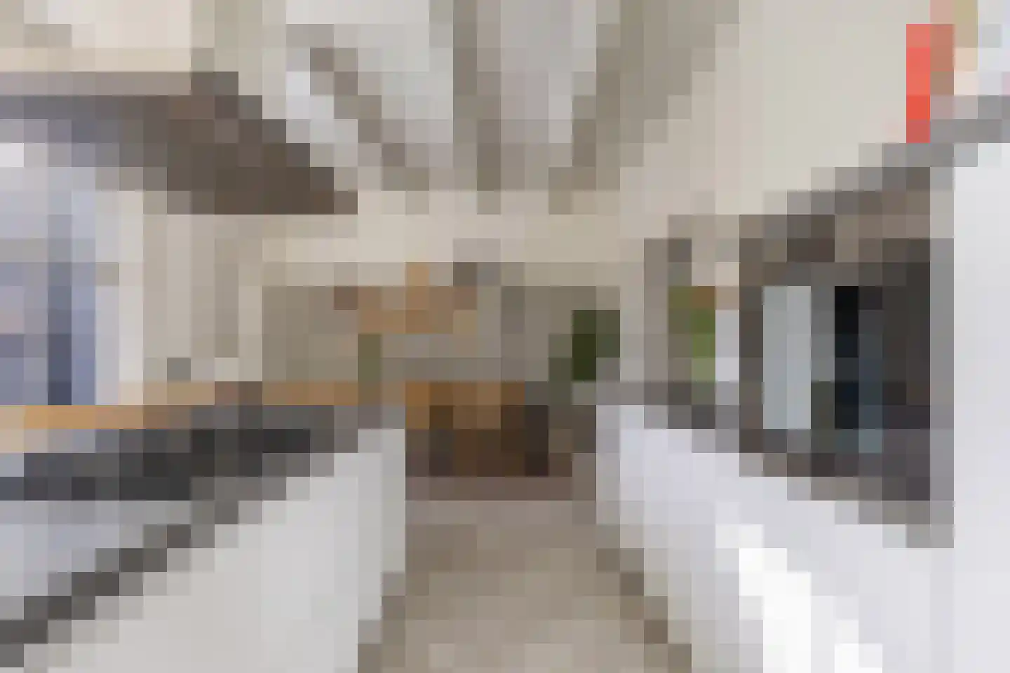 Jongemastraat 33 Bolsward thumbnail 24