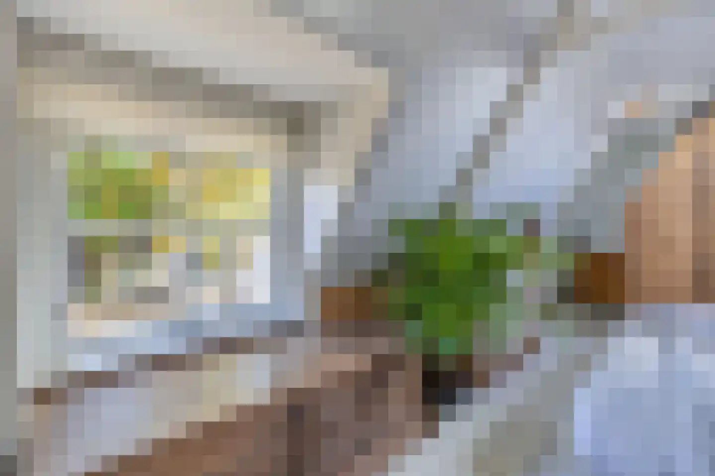 Jongemastraat 33 Bolsward thumbnail 45