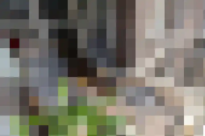 Jongeneelwerf 10 Utrecht thumbnail 29