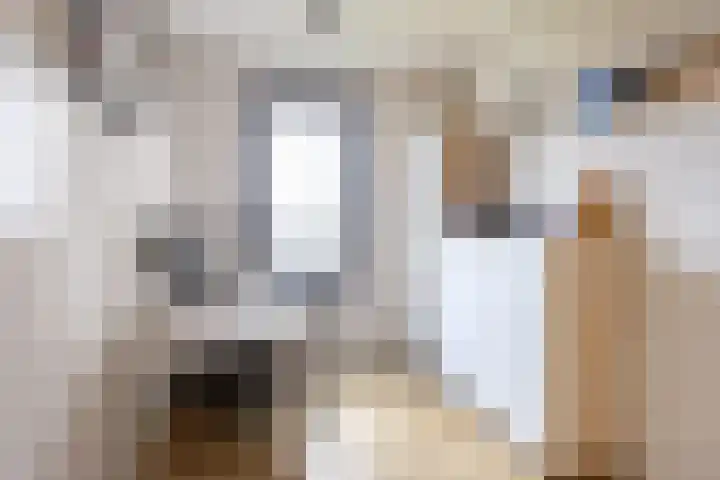 Jongeneelwerf 10 Utrecht thumbnail 38
