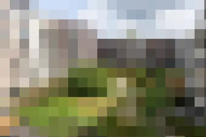 Jongeneelwerf 10 Utrecht thumbnail 46