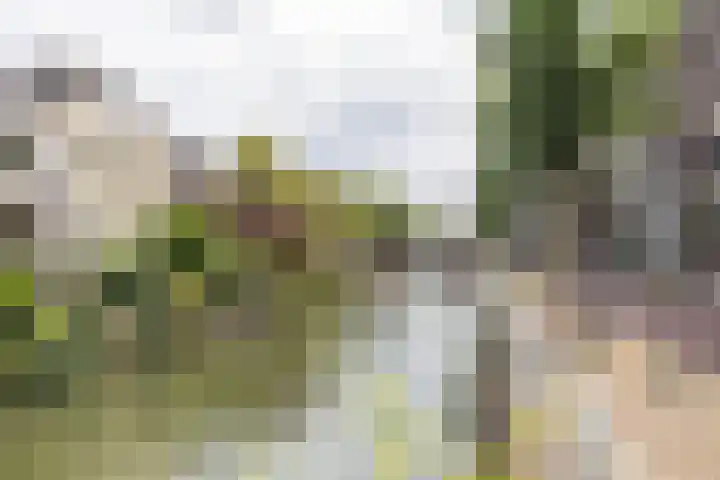 Jongeneelwerf 10 Utrecht thumbnail 56