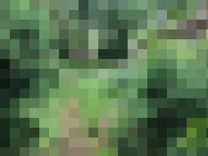 Jongkindhoek 39 Nunspeet thumbnail 14