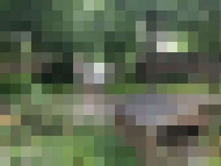 Jongkindhoek 39 Nunspeet thumbnail 15
