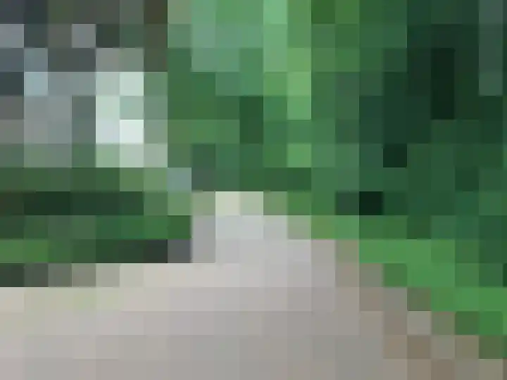 Jongkindhoek 39 Nunspeet thumbnail 18