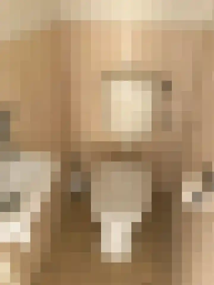 Jongkindhoek 39 Nunspeet thumbnail 6