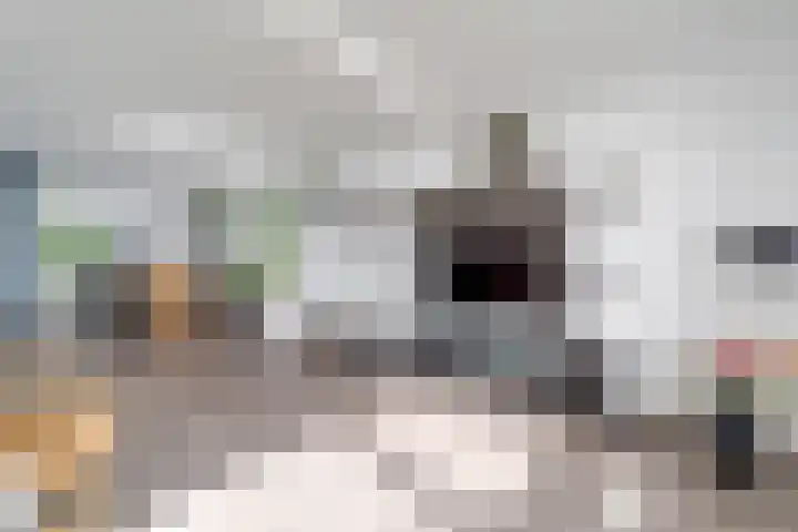 Jongkindstraat 21 Dedemsvaart thumbnail 10