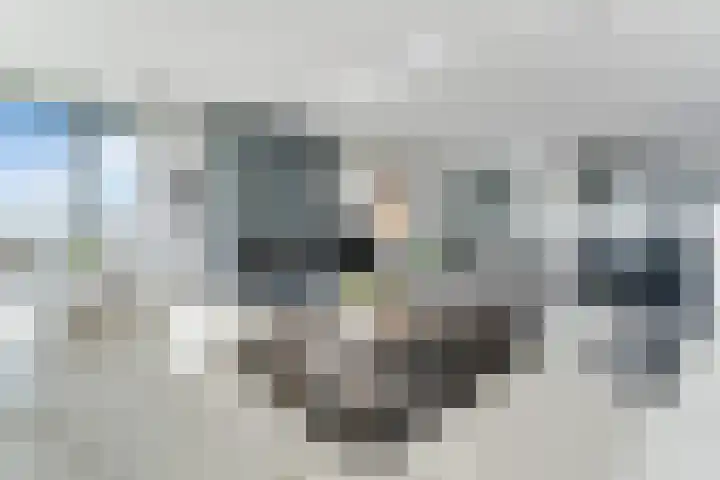 Jongkindstraat 21 Dedemsvaart thumbnail 11