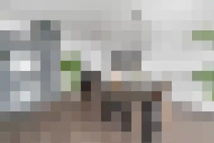 Jongkindstraat 21 Dedemsvaart thumbnail 12