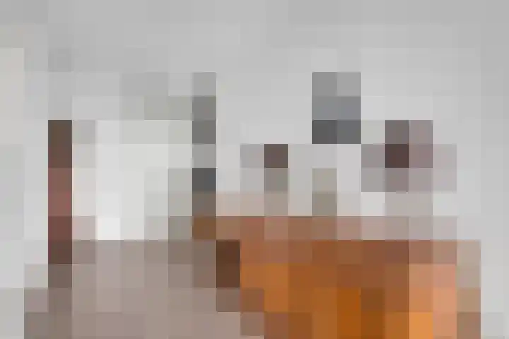 Jongkindstraat 21 Dedemsvaart thumbnail 17