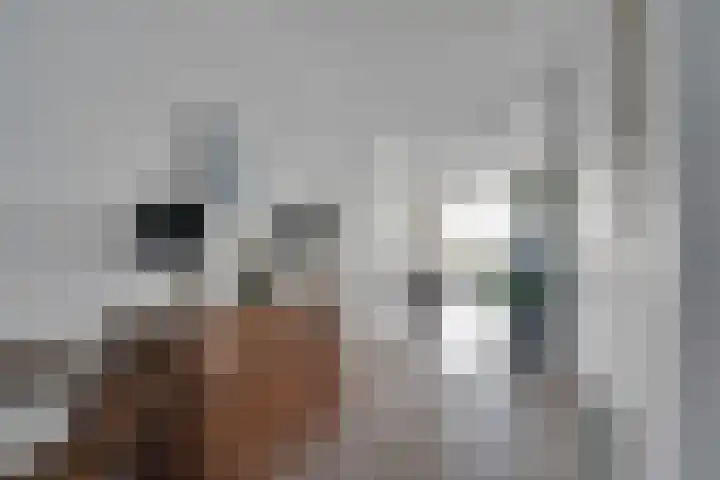 Jongkindstraat 21 Dedemsvaart thumbnail 18
