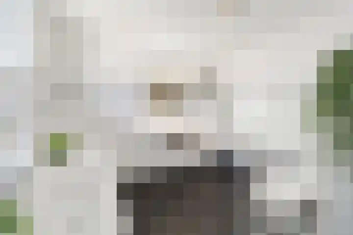 Jongkindstraat 21 Dedemsvaart thumbnail 24