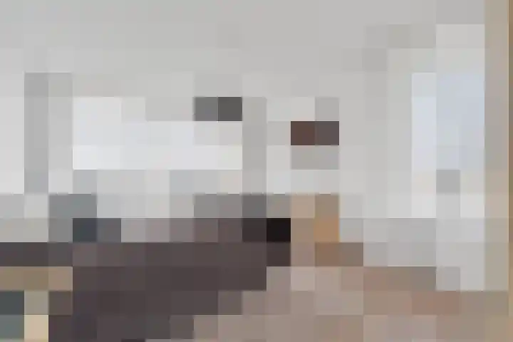 Jongkindstraat 21 Dedemsvaart thumbnail 25