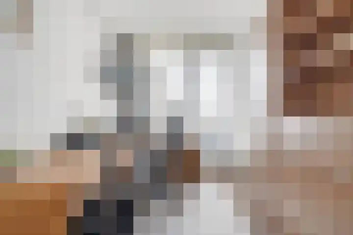 Jongkindstraat 21 Dedemsvaart thumbnail 28