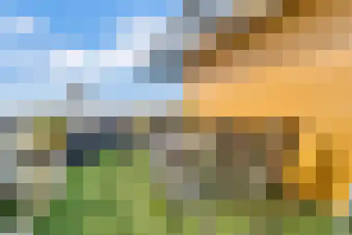 Jongkindstraat 21 Dedemsvaart thumbnail 33