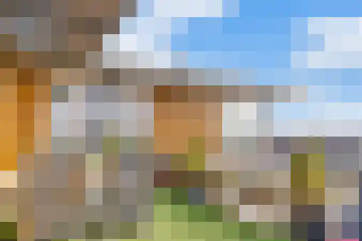 Jongkindstraat 21 Dedemsvaart thumbnail 36