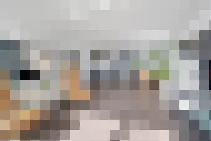Jongkindstraat 21 Dedemsvaart thumbnail 9