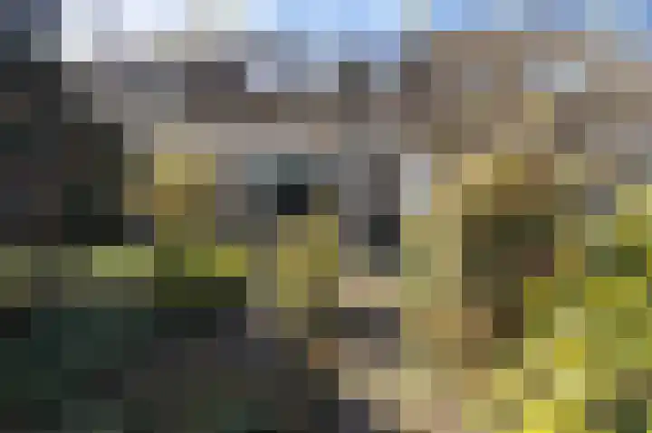 Jongkindstraat 4 Ede thumbnail 6