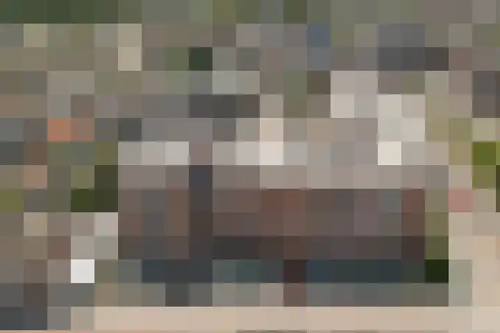 Jongmansweg 46 Heerlen thumbnail 26