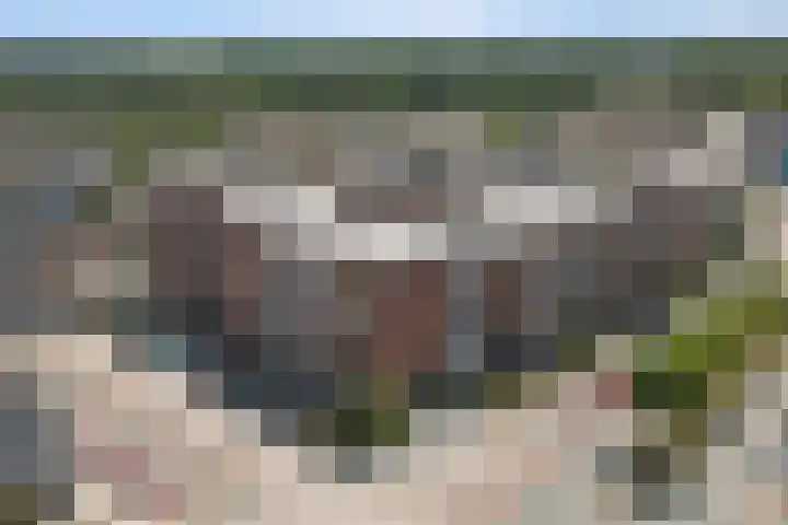 Jongmansweg 46 Heerlen thumbnail 29
