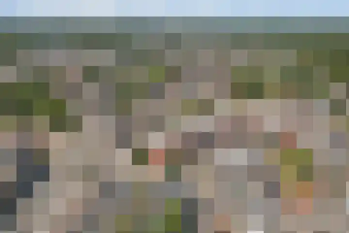 Jongmansweg 46 Heerlen thumbnail 30