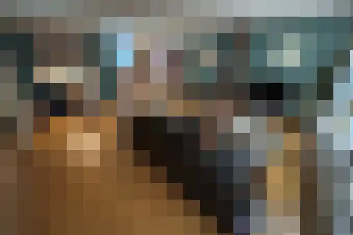 Jongmansweg 47 Heerlen thumbnail 12