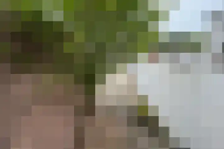 Jongmansweg 47 Heerlen thumbnail 23