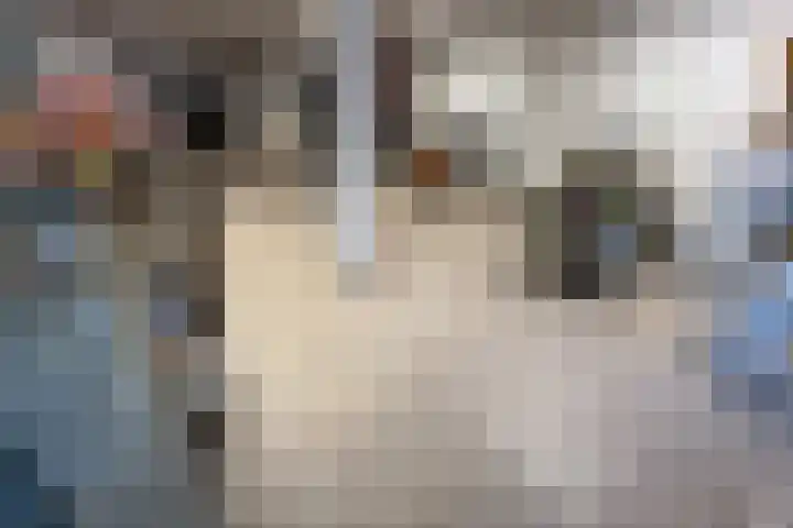 Jongmansweg 47 Heerlen thumbnail 4