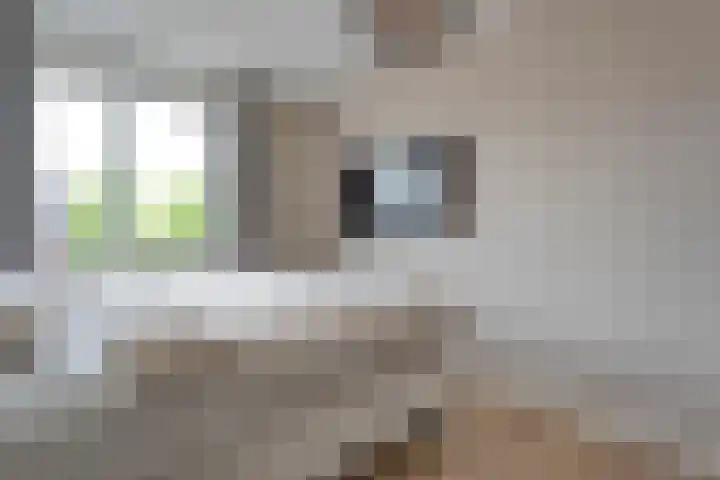 Jongsmalaan 13 Hardenberg thumbnail 17